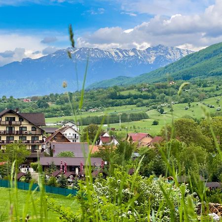 Vila Hora Cu Brazi Zărneşti Εξωτερικό φωτογραφία