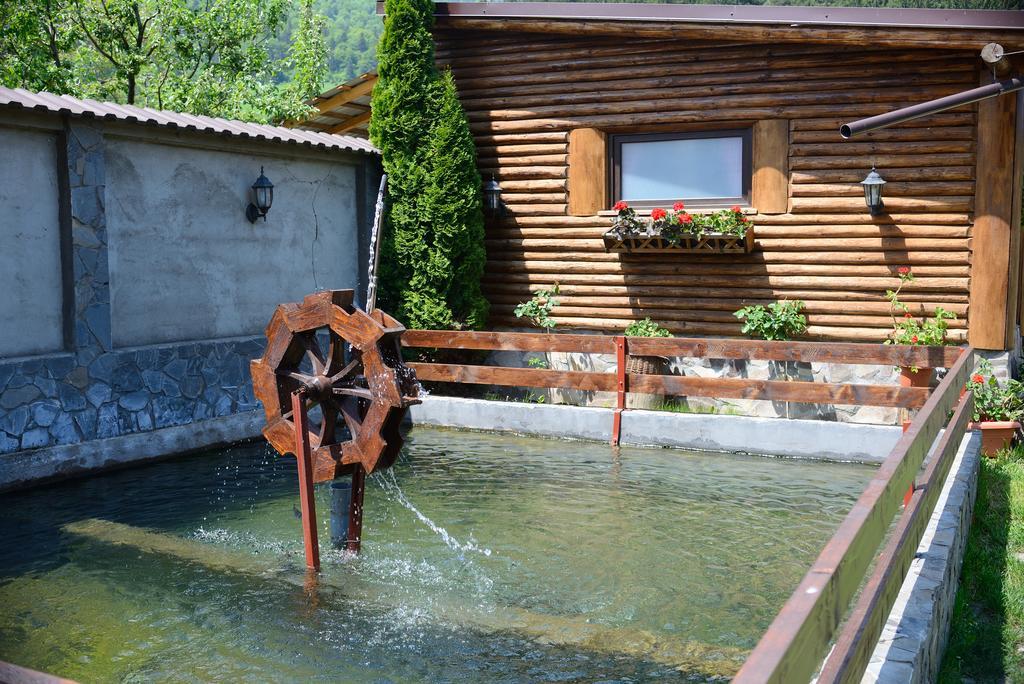Vila Hora Cu Brazi Zărneşti Εξωτερικό φωτογραφία